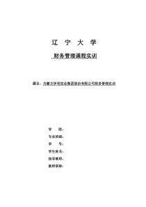 财务管理课程实训原创
