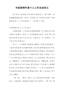 市场营销年度个人工作总结范文