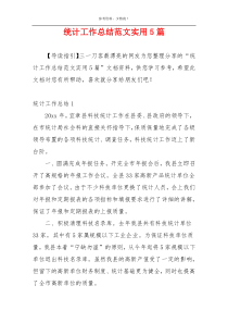 统计工作总结范文实用5篇