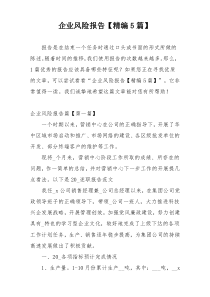企业风险报告【精编5篇】