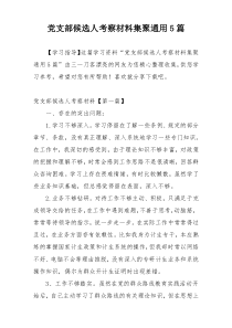 党支部候选人考察材料集聚通用5篇