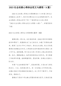 2023社会实践心得体会范文与感悟（4篇）