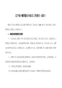 辽宁省小额贷款公司组建审核工作指引(修订稿)