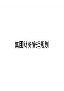 集团财务管理规划
