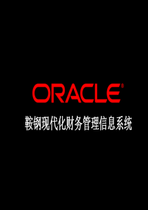 鞍钢现代化财务管理信息系统（PPT 114页）