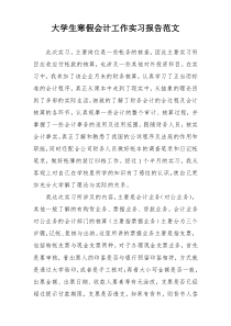 大学生寒假会计工作实习报告范文