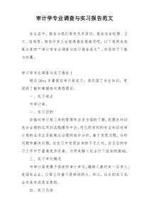 审计学专业调查与实习报告范文