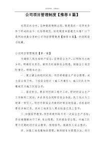 公司项目管理制度【推荐8篇】