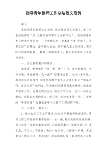 指导青年教师工作总结范文范例