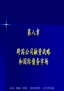 08跨国公司融资战略和国际债务市场