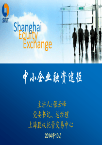 XXXX1020中小企业融资途径(最新)