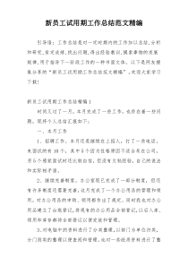 新员工试用期工作总结范文精编