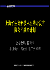 上海华生有限公司融资计划