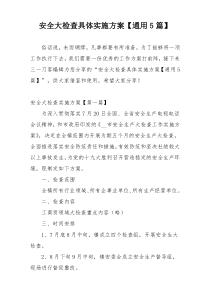 安全大检查具体实施方案【通用5篇】