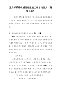 党支部标准化规范化建设工作总结范文（精选5篇）