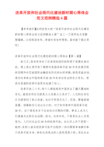 改革开放和社会现代化建设新时期心得体会范文范例精选4篇