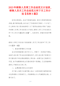 2023年销售人员周工作总结范文计划表_销售人员月工作总结范文和下月工作计划【范例5篇】