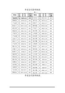 养老金付款明细表