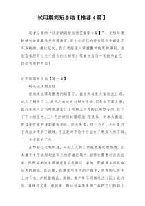 试用期简短总结【推荐4篇】