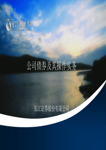 公司债券融资(1)