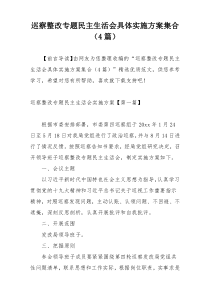 巡察整改专题民主生活会具体实施方案集合（4篇）