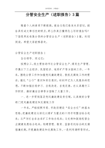 分管安全生产（述职报告）3篇