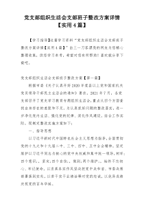 党支部组织生活会支部班子整改方案详情【实用4篇】