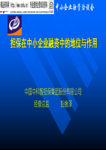 担保在中小企业融资中的地位与作用