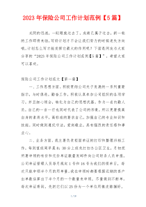 2023年保险公司工作计划范例【5篇】