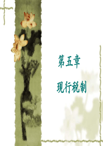 chapter5现行税制