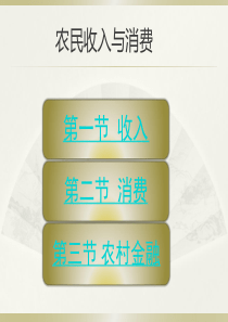 农民收入与消费