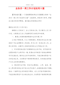 业务员一周工作计划实用5篇