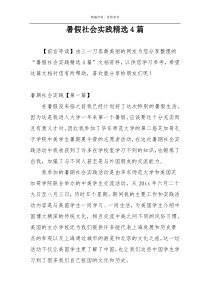 暑假社会实践精选4篇
