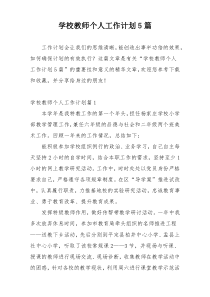 学校教师个人工作计划5篇