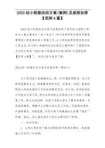 2023幼小衔接活动方案(案例)及流程安排【范例4篇】