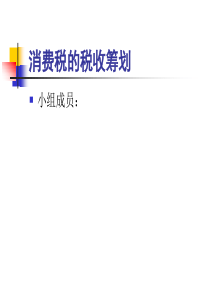 PPT消费税
