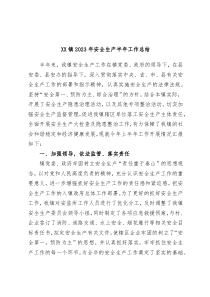 XX镇2023年安全生产半年工作总结
