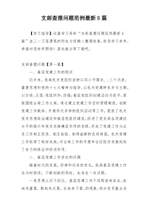 支部查摆问题范例最新5篇