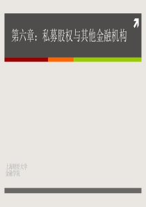 CH06私募股权投资机构
