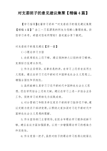对支委班子的意见建议集聚【精编4篇】
