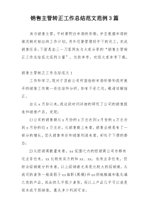 销售主管转正工作总结范文范例3篇