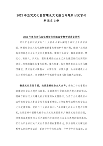 2023年坚定文化自信建设文化强国专题研讨发言材料范文2份