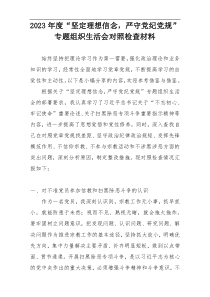 2023年度“坚定理想信念，严守党纪党规”专题组织生活会对照检查材料