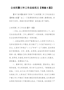 公安民警三年工作总结范文【精编8篇】