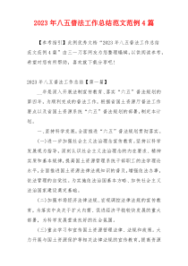 2023年八五普法工作总结范文范例4篇
