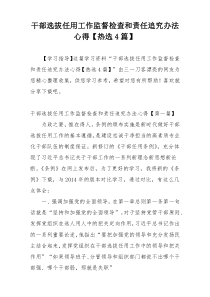 干部选拔任用工作监督检查和责任追究办法心得【热选4篇】