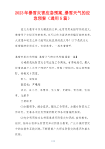 2023年暴雪灾害应急预案_暴雪天气的应急预案（通用5篇）