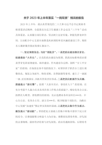 关于2023年上半年落实一岗双责情况的报告
