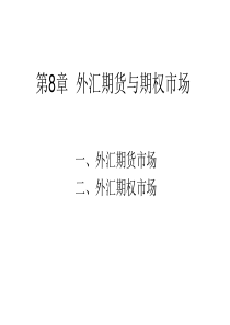 第8章 外汇期货与期权市场