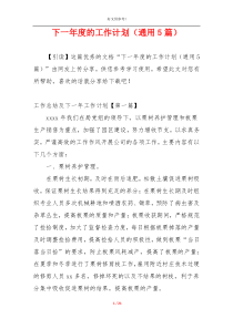下一年度的工作计划（通用5篇）
